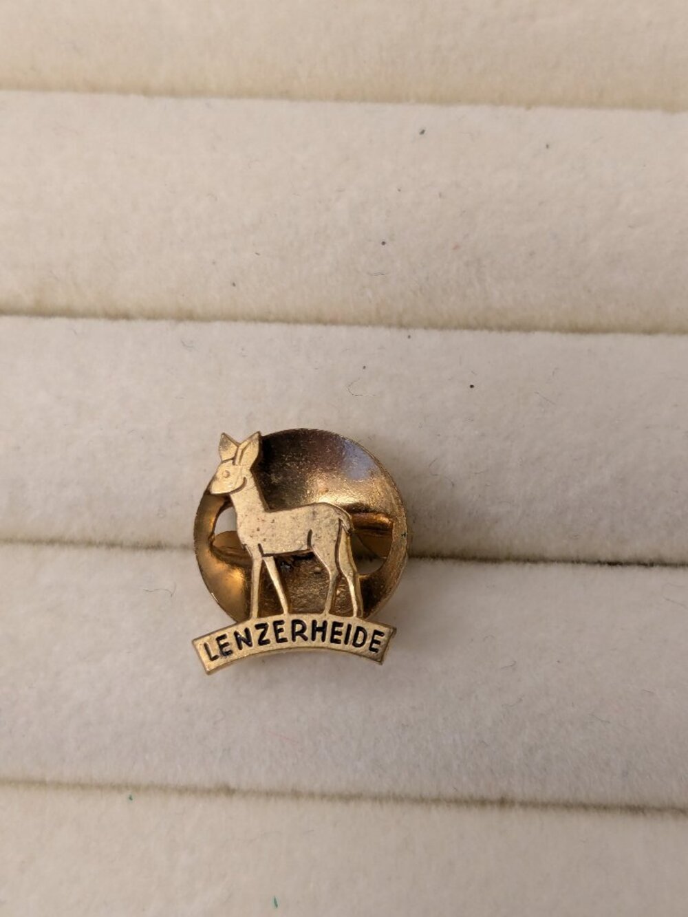 Vintage Swiss Screwback Souvenir Pin  "LENZERHEIDE"